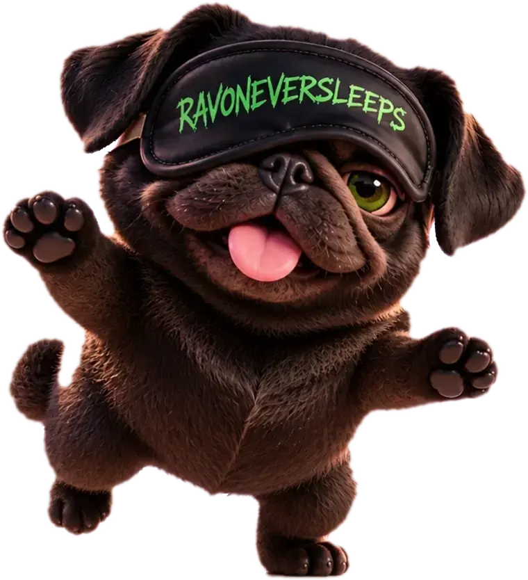 Ravo the pug